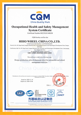 45001 2018 yingwen.jpg